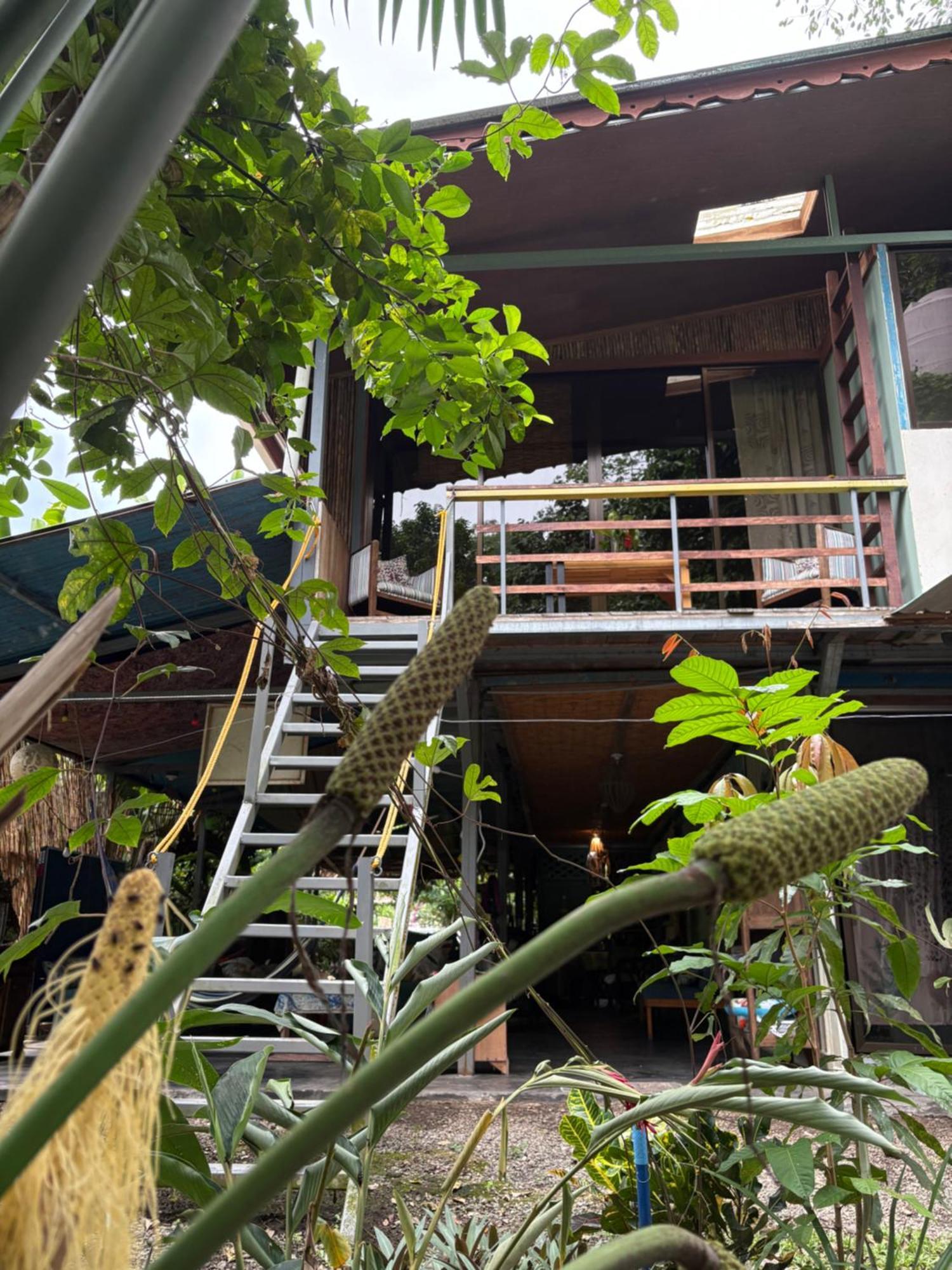 Organico Punta Riel Hotel Cahuita Exterior foto