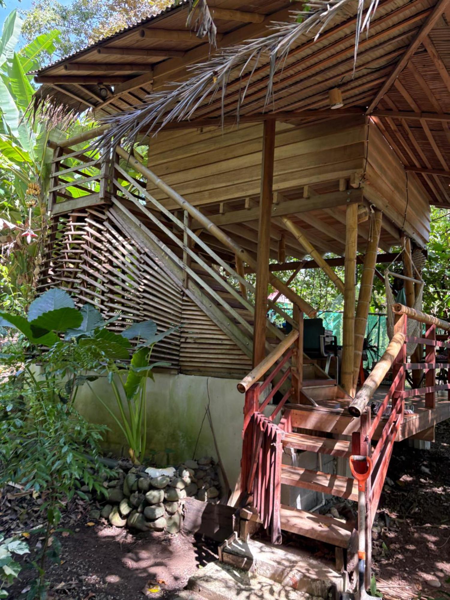 Organico Punta Riel Hotel Cahuita Exterior foto