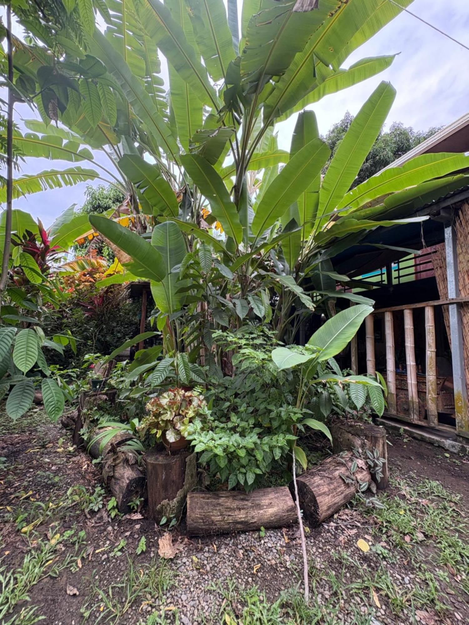 Organico Punta Riel Hotel Cahuita Exterior foto