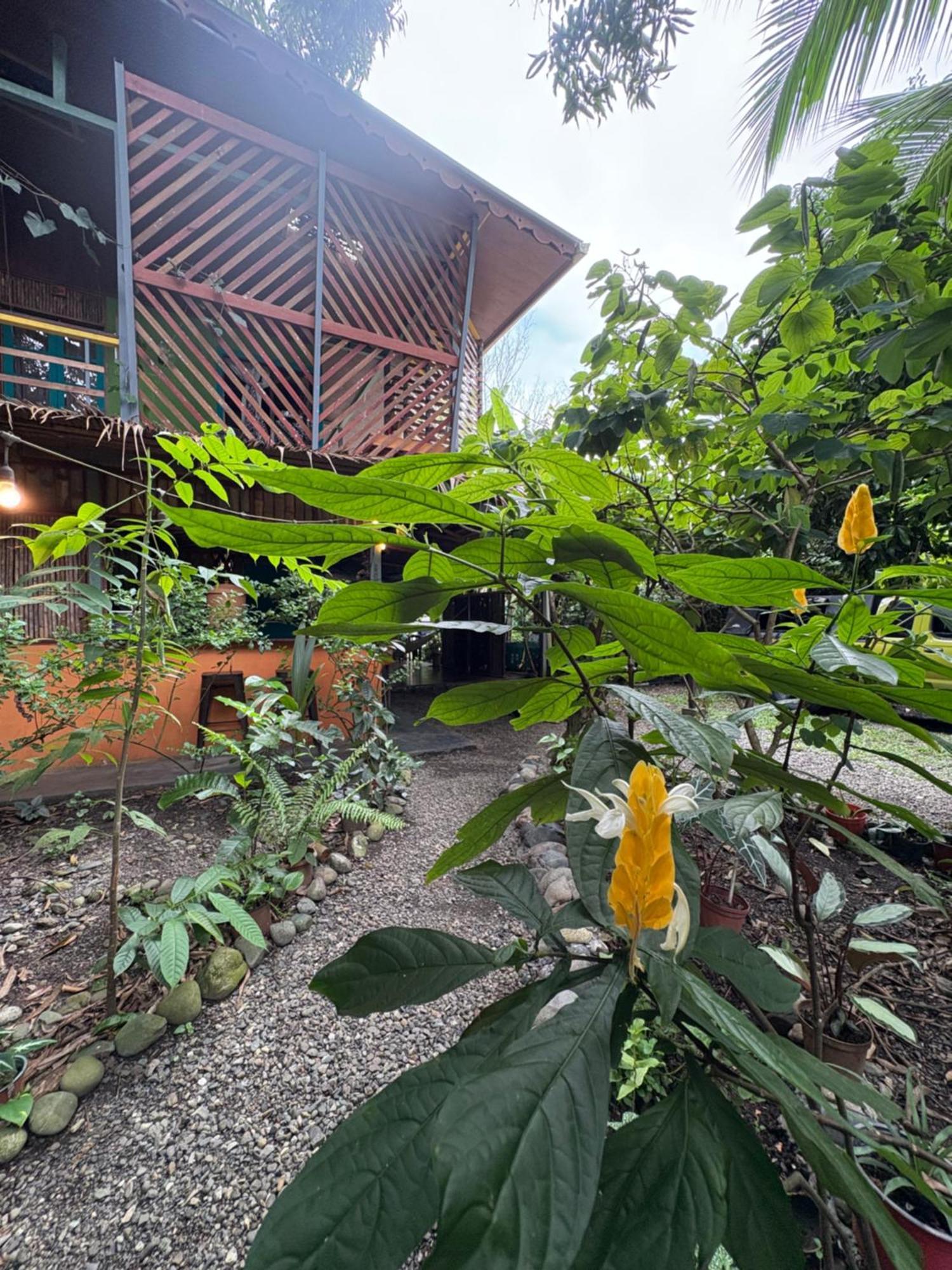 Organico Punta Riel Hotel Cahuita Exterior foto