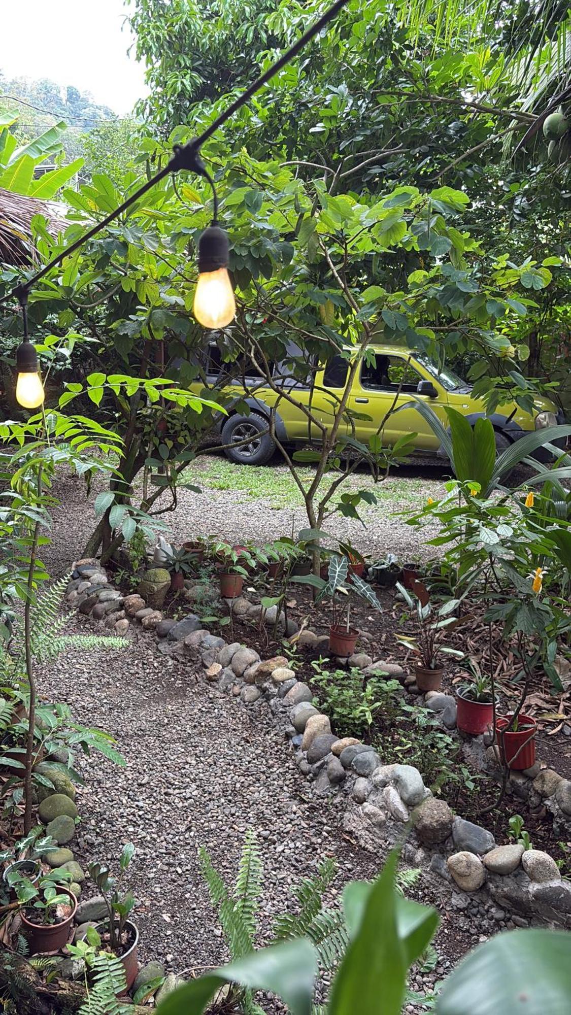 Organico Punta Riel Hotel Cahuita Exterior foto